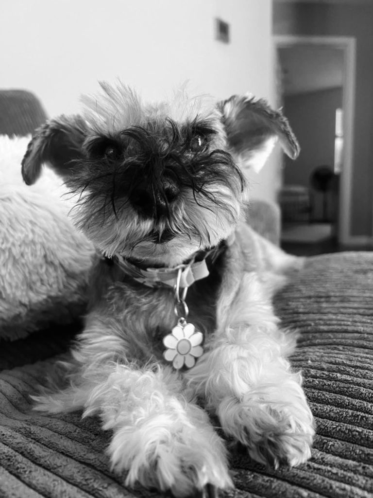 Teegan Marie Mckittrick