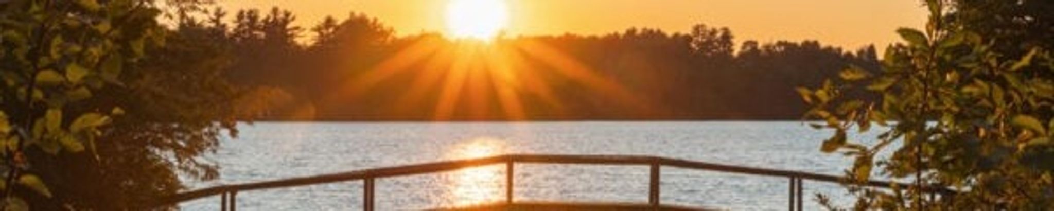 Cover for Walter E. Conn's Obituary