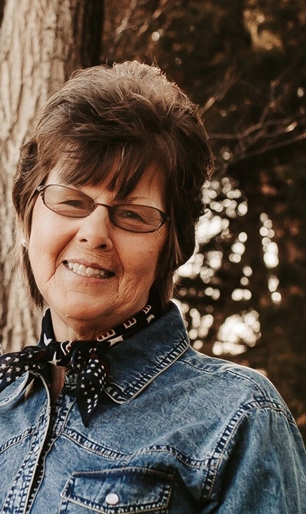 Carol Lee Vonderschmidt Profile Photo