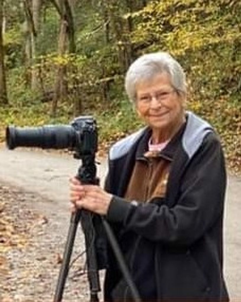 Carolyn Ann Hargis Collmer