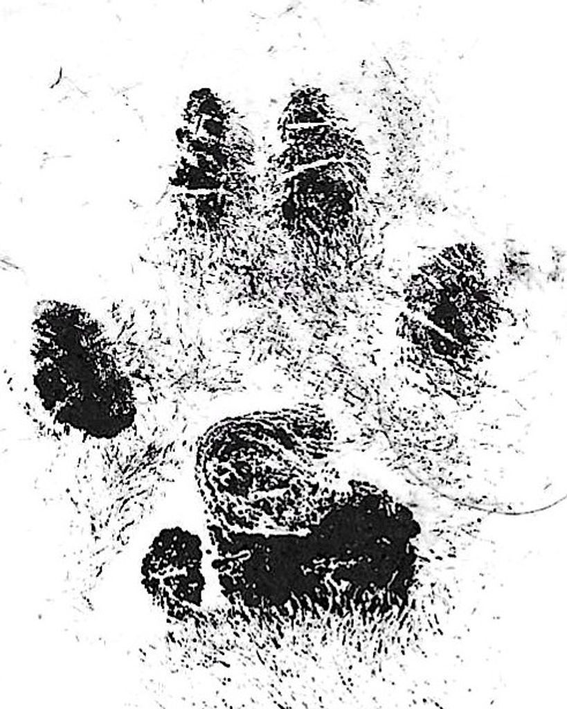 JoJo Smith Profile Photo