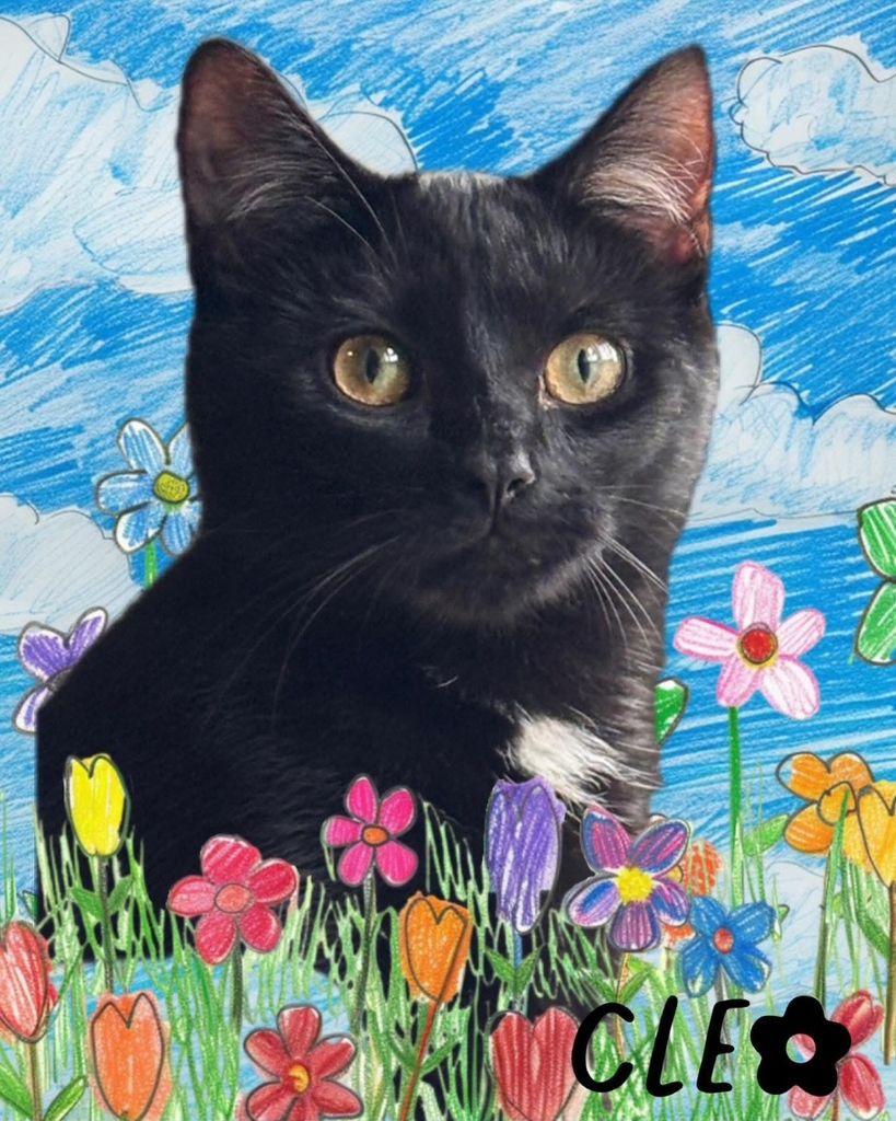 Cleopatra "Piddy Girl" Profile Photo
