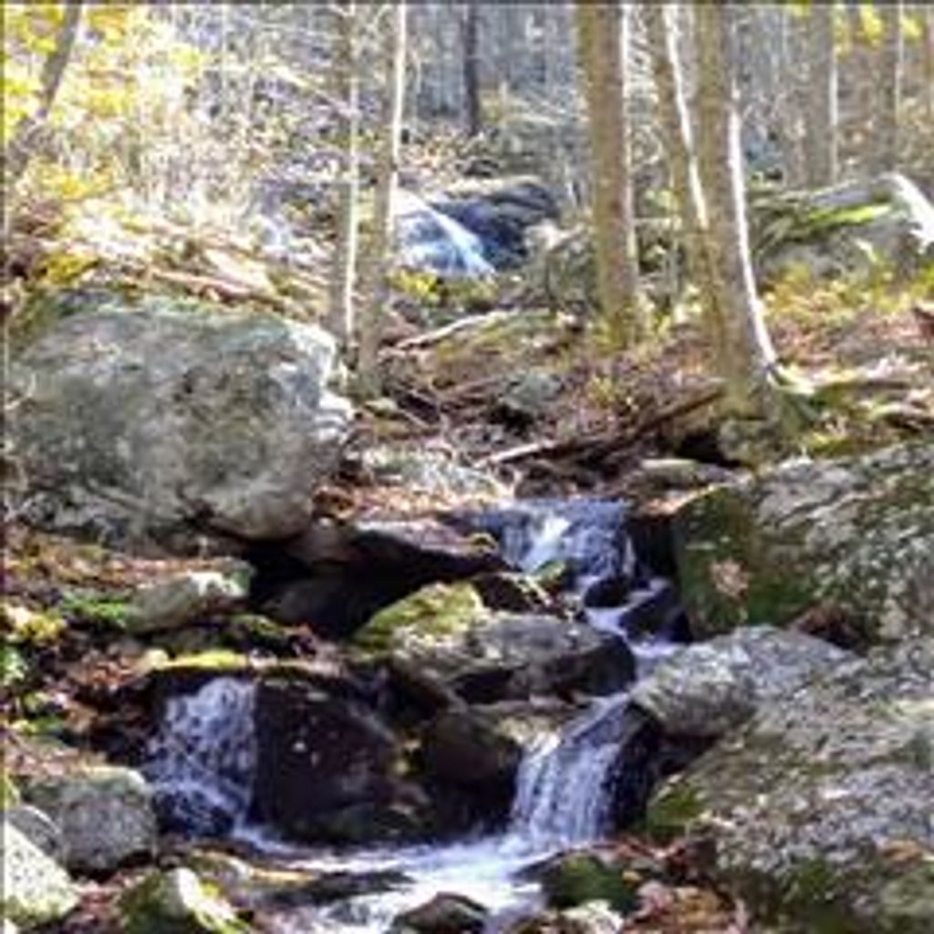 Youa Pao Lee Profile Photo