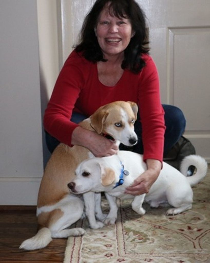 Linda D'Antonio Blair Profile Photo