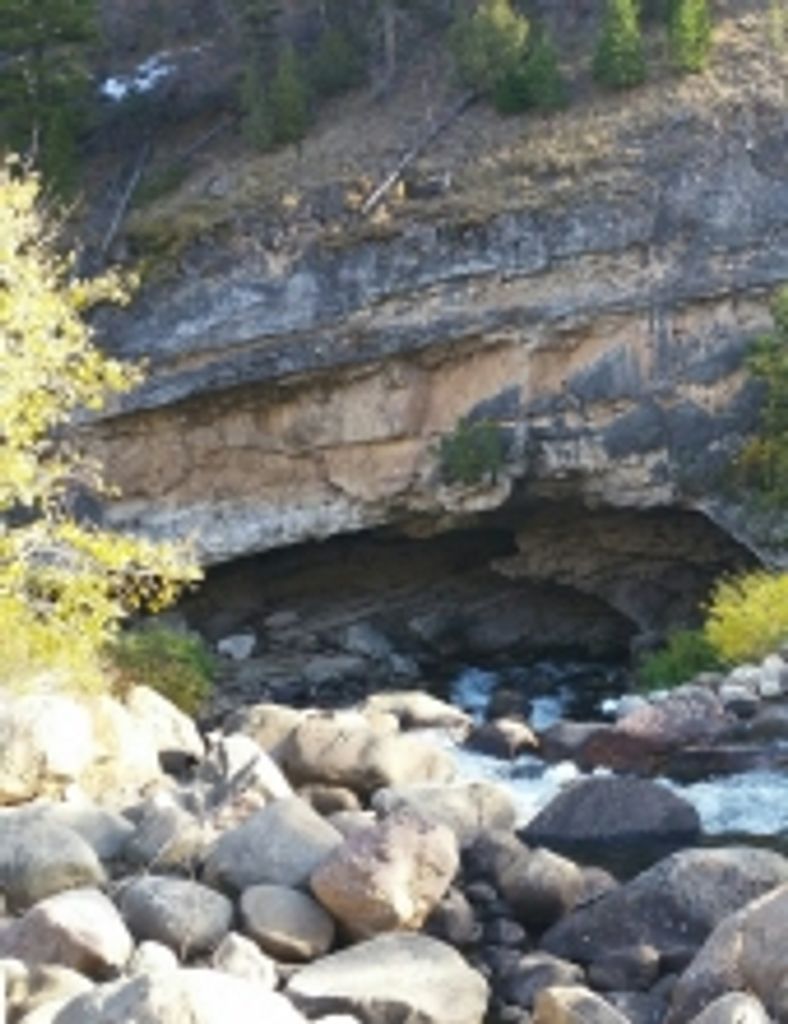 Wesley Willow Jr. Profile Photo