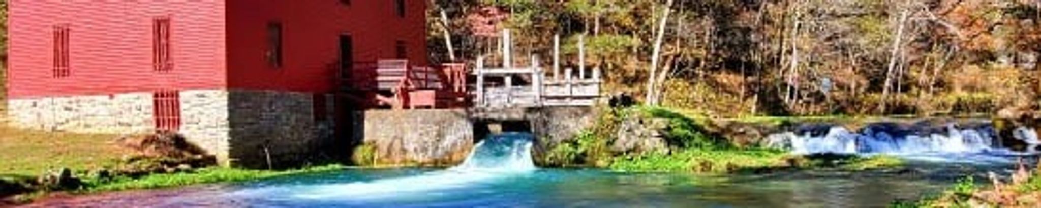 Cover for Gary A. Freeman's Obituary