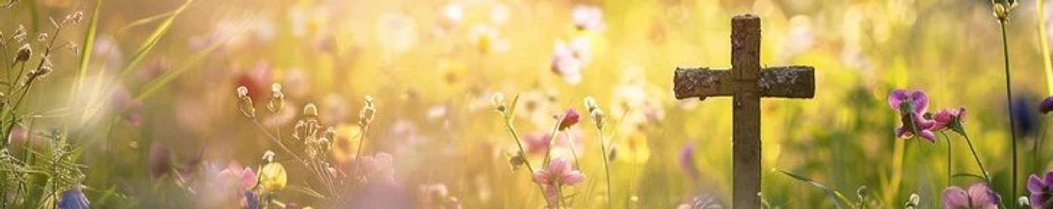 Cover photo for Terry M. Wysong's Obituary