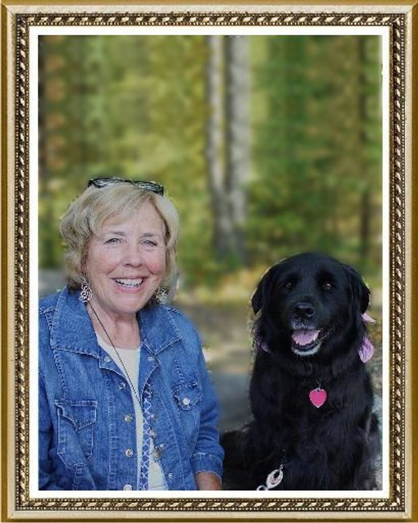 Sherrie A. Carroll Profile Photo