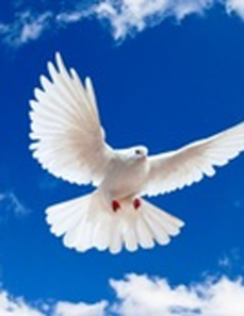 Gary  Stevens Profile Photo