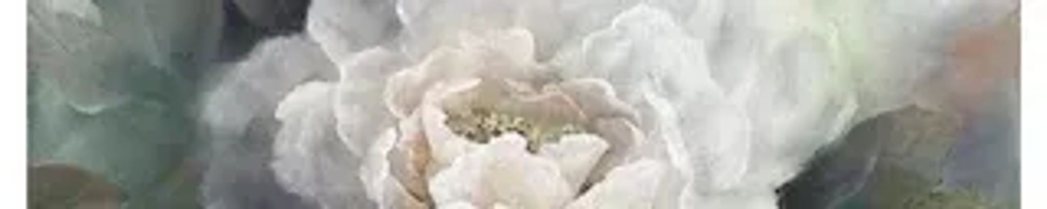Cover photo for Sandra Jean Kedge's Obituary