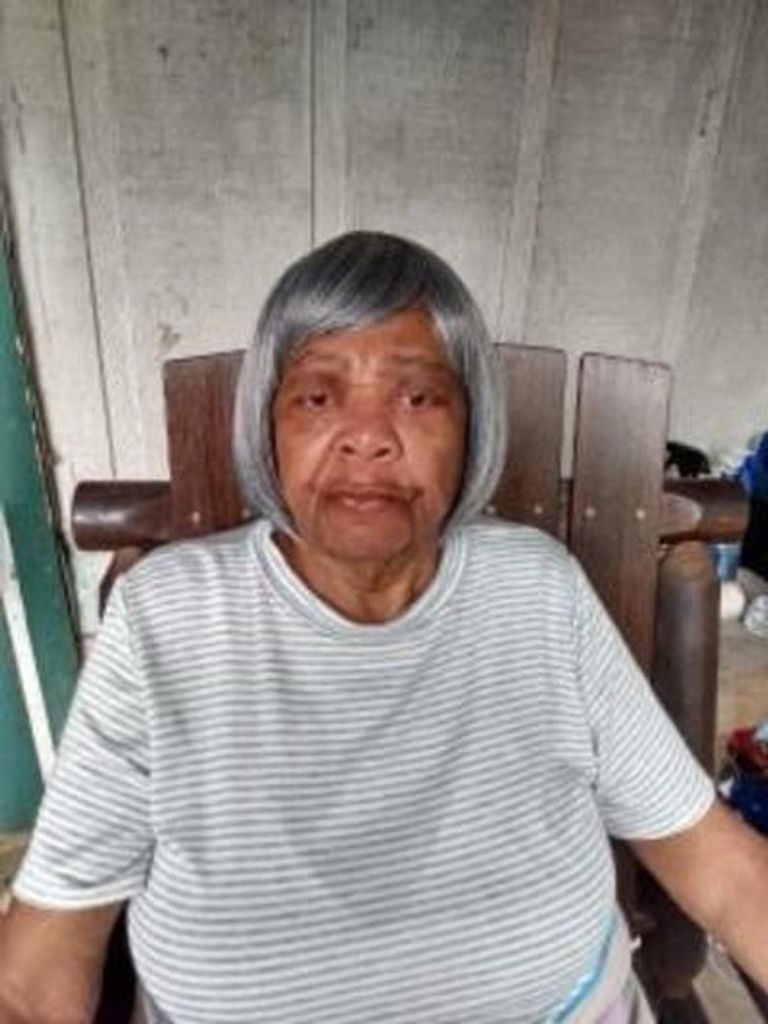 Mrs. Nancy Lee Powell Profile Photo