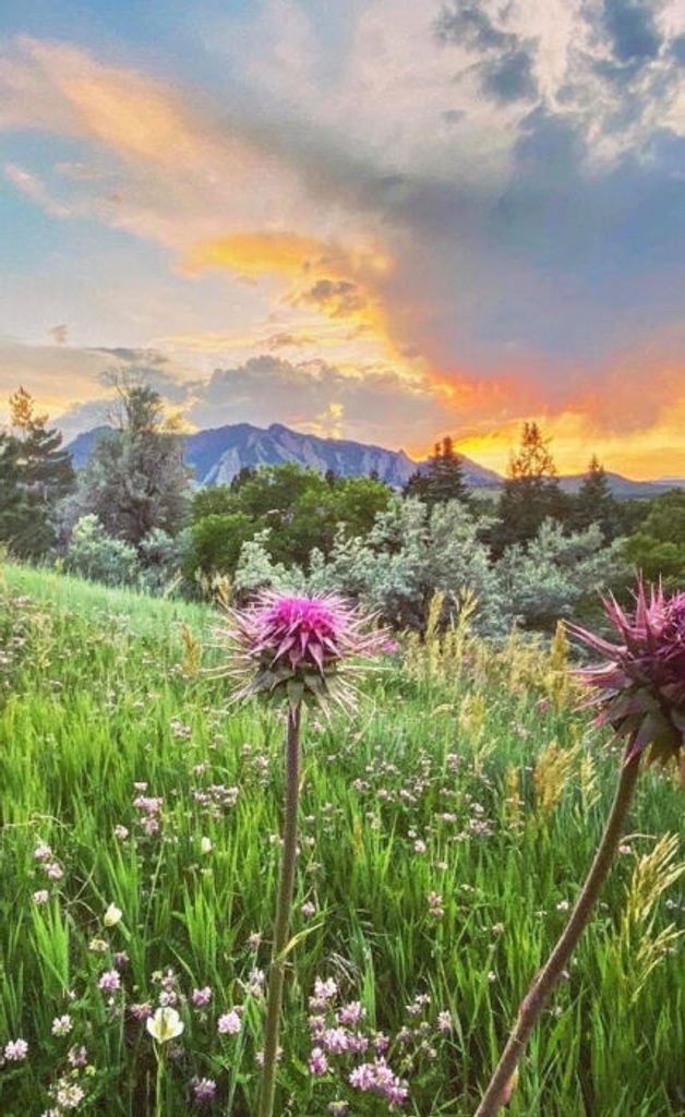 Delores "Lois" M (Reynolds)  Bryant Profile Photo