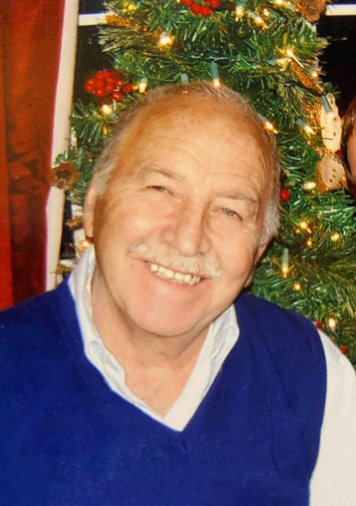 Ermanno De Dominicis