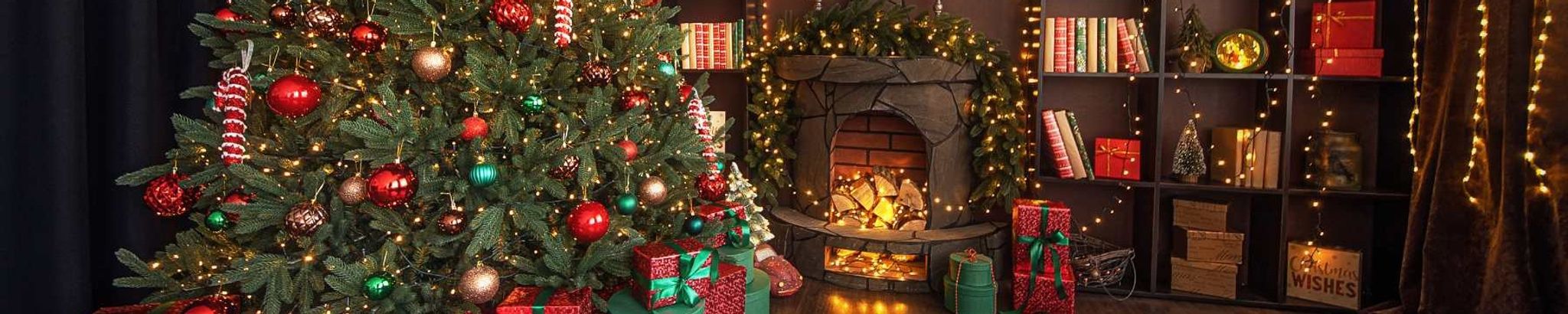 Cover for Dorothy Ann Knight's Obituary