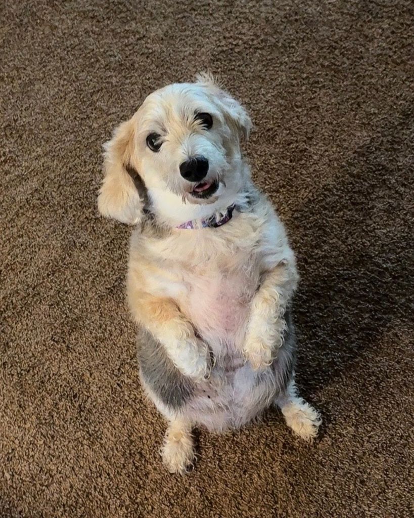 Kota Mergenthal Profile Photo