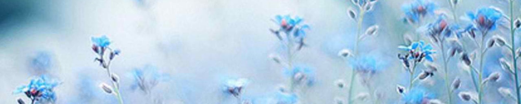 Cover photo for Thelma Jean Osborne's Obituary