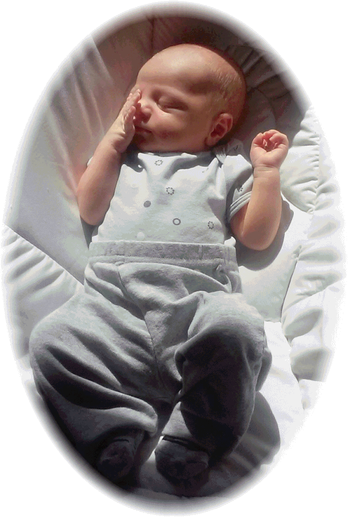 Darrian C. Shifflett