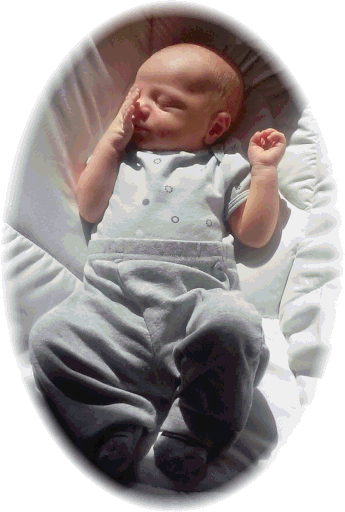 Darrian C. Shifflett Profile Photo