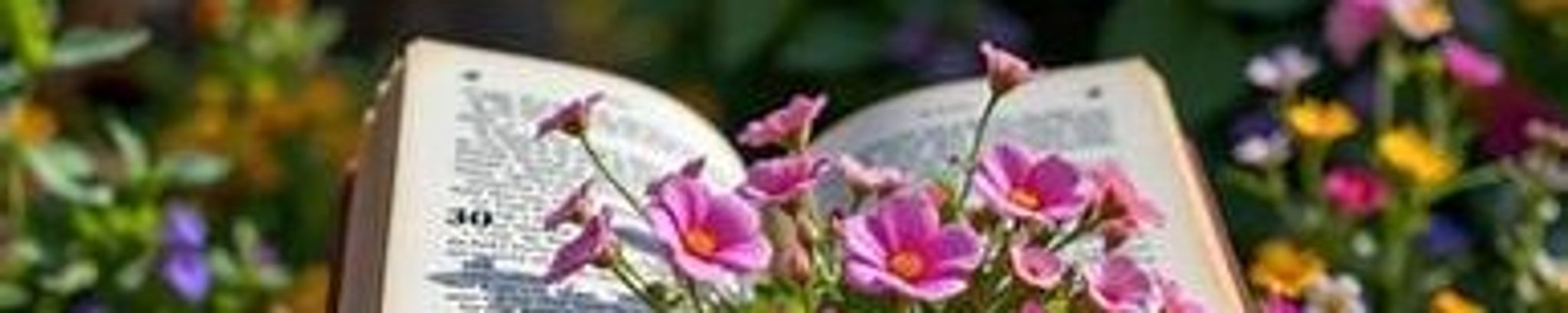 Cover for Marcella Jean Topp's Obituary