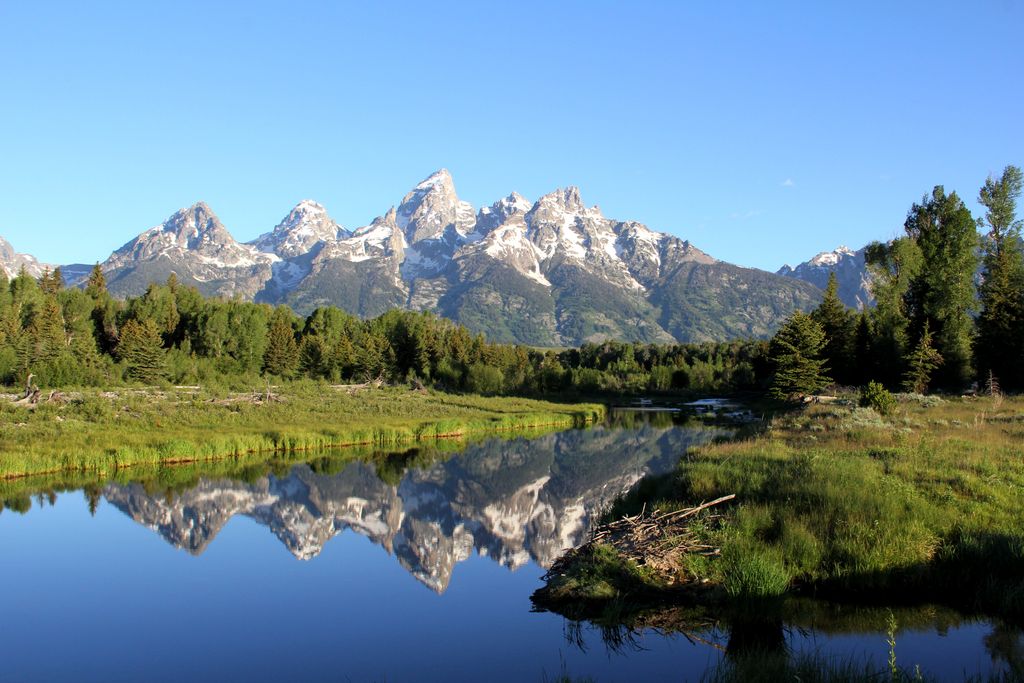 Lawson W. Heckman Profile Photo