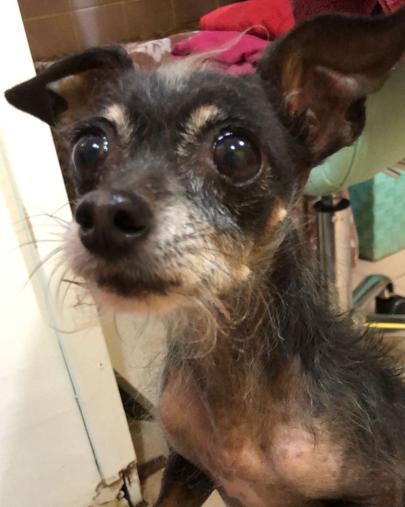 Bella 🖤 Profile Photo