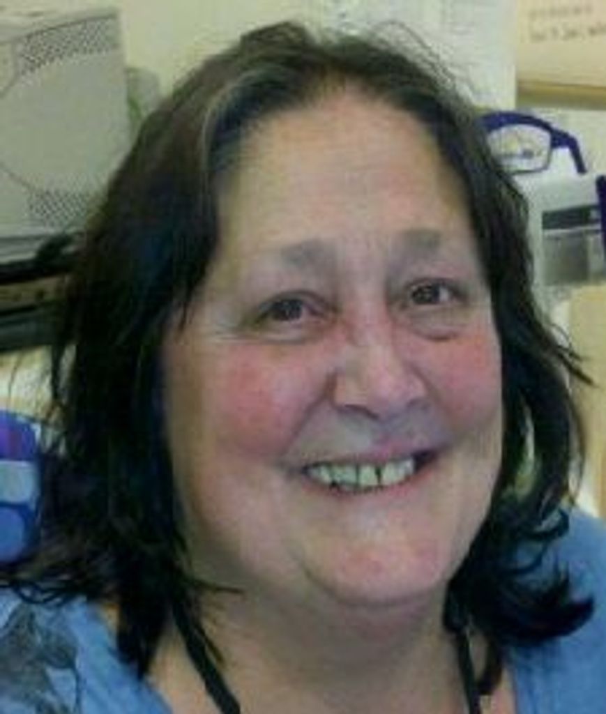 Lisa Dinan Profile Photo