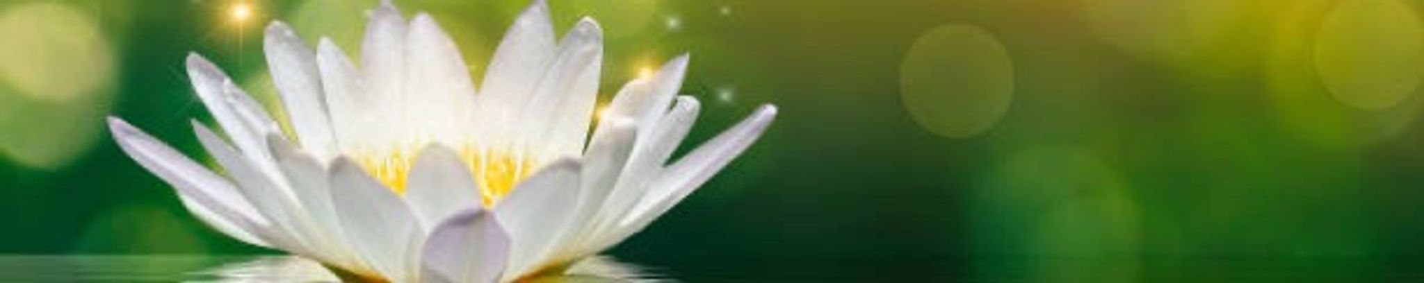 Cover photo for Quang Thanh Tran's Obituary