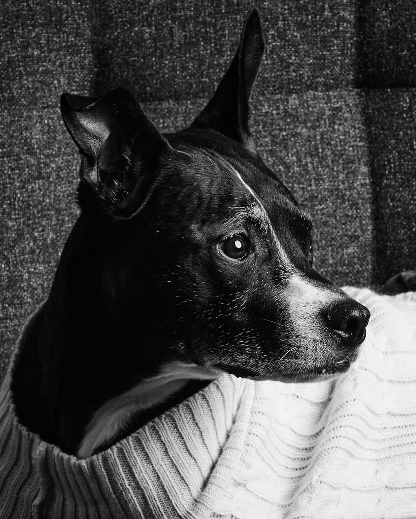 Onyx Culpepper-Boyd Profile Photo