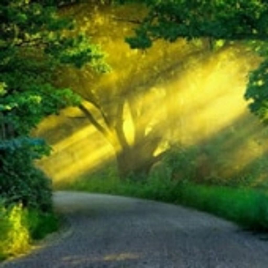 Charles Clifford Rapp