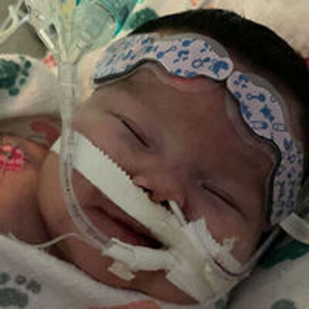 Ava Morgan Spence