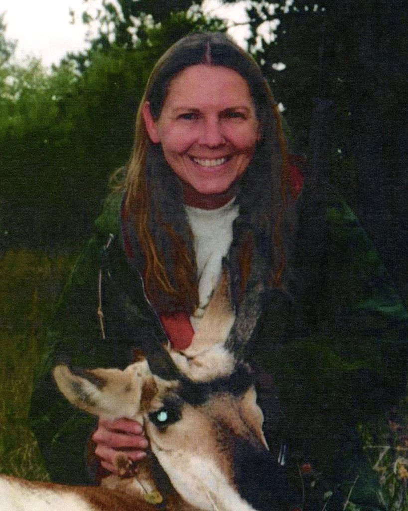 Julie Hohn Profile Photo