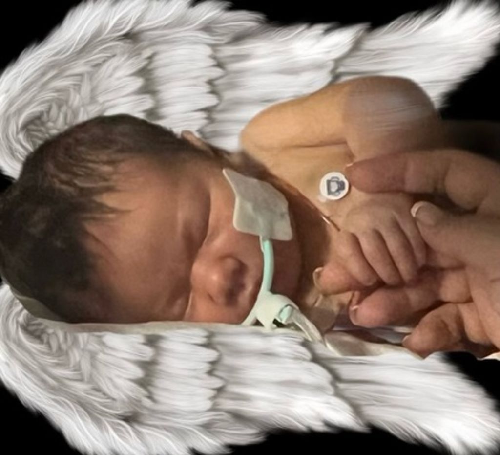 Charlotte Kimberly Dawn Mcdonald Profile Photo