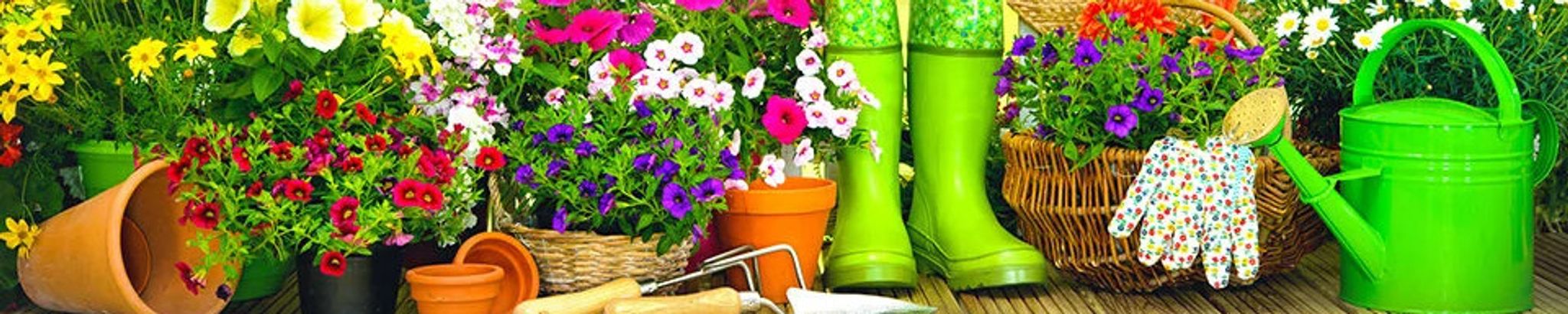 Cover photo for Leola S. Topshe's Obituary