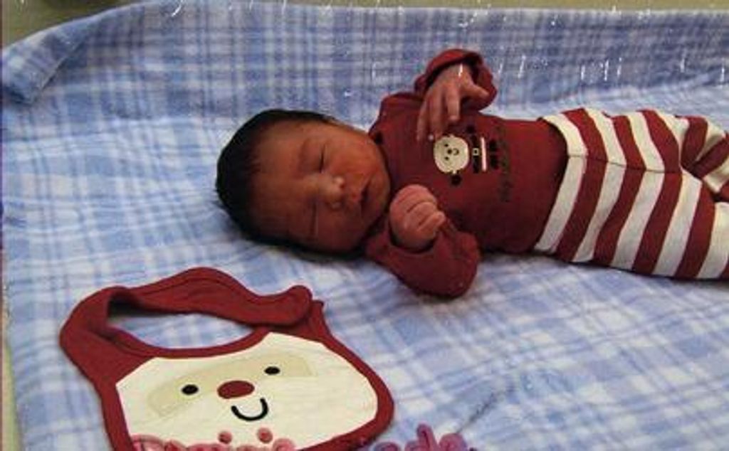 Dominic Zade Spotted Horse