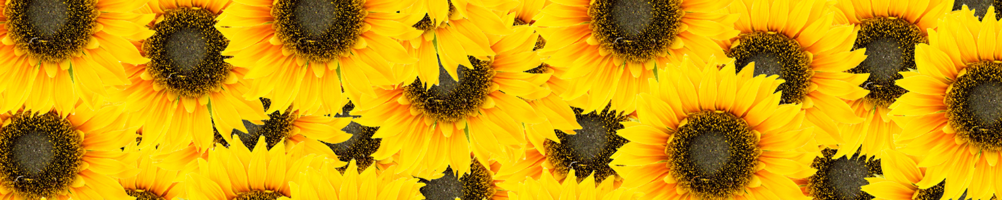 Cover photo for Marjorie L. Greene's Obituary