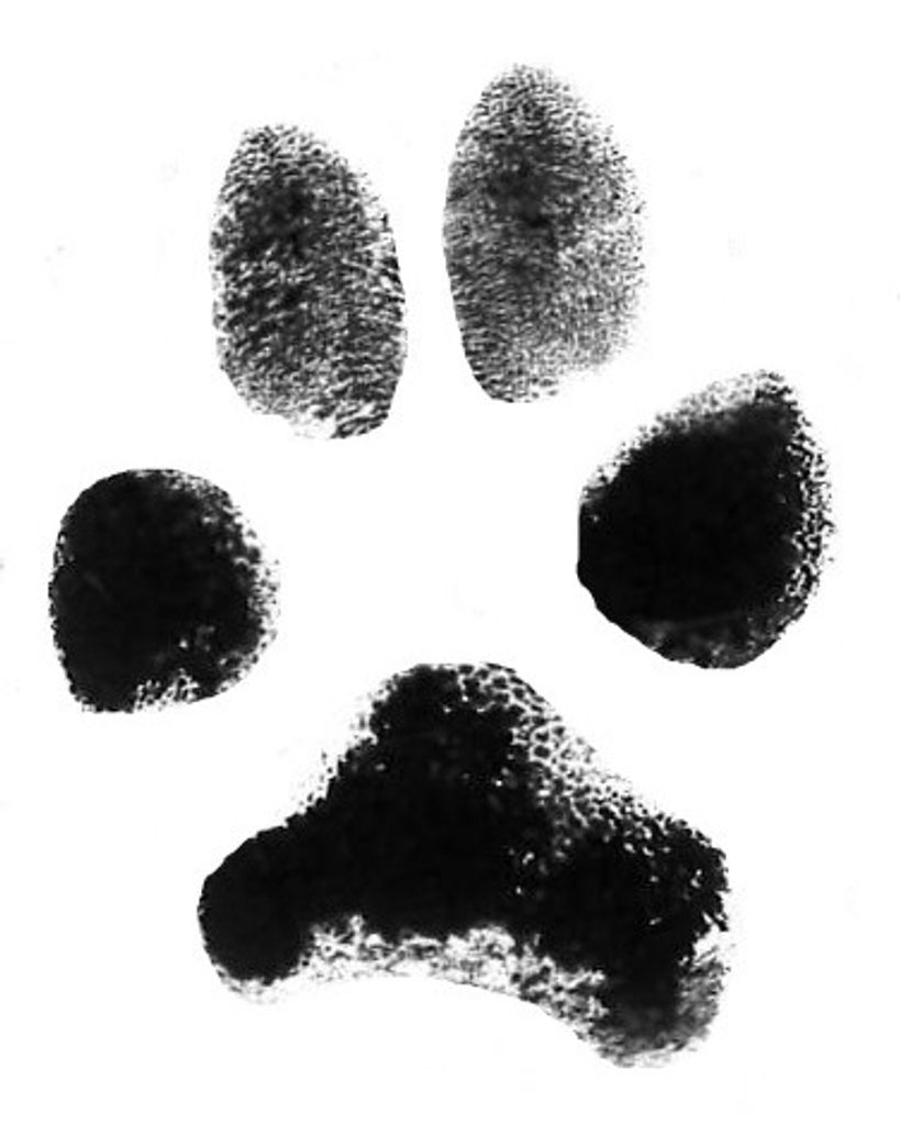 Sydney Jade Griffin Profile Photo