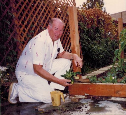 Robert Wyman photo gallery thumbnail 8 of 17