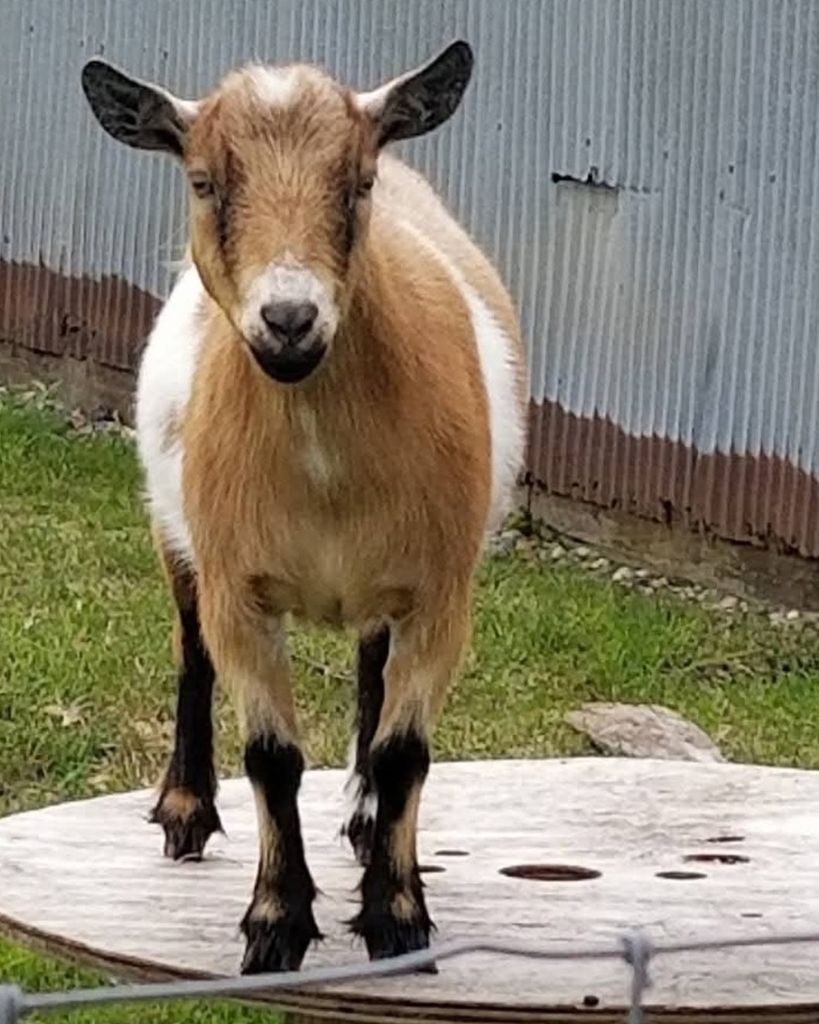 Nellie Fritz Profile Photo