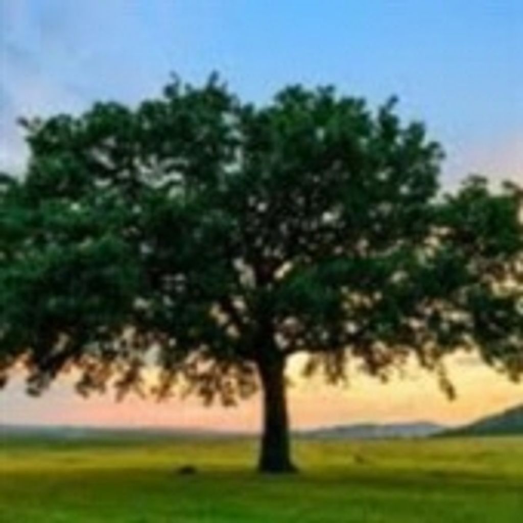 Earnest Raymond Staten