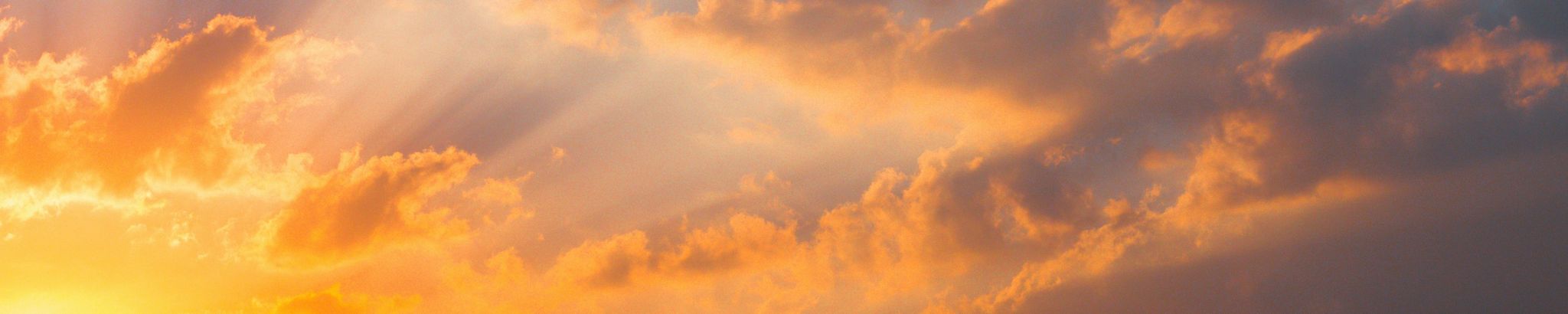 Cover for Steven Andrew Pietras's Obituary