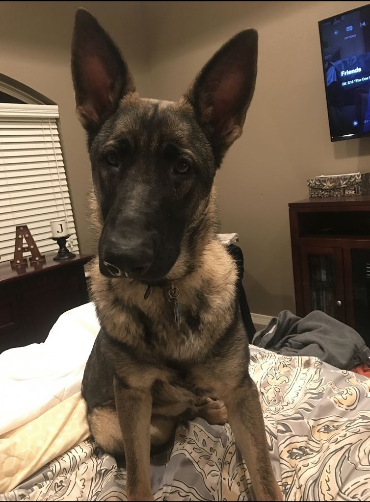 Jax Ackors Profile Photo