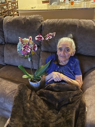 Hilda Luz (Feliciano)  Acevedo photo gallery thumbnail 32 of 43