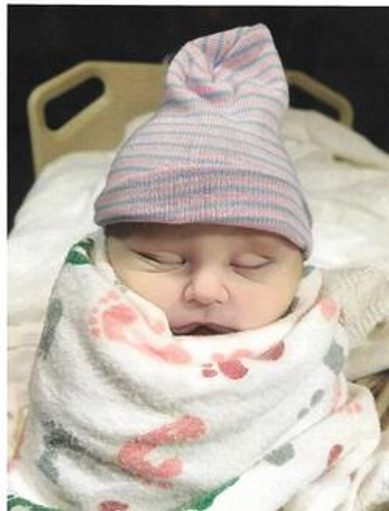 Kase Michael Korbel Profile Photo