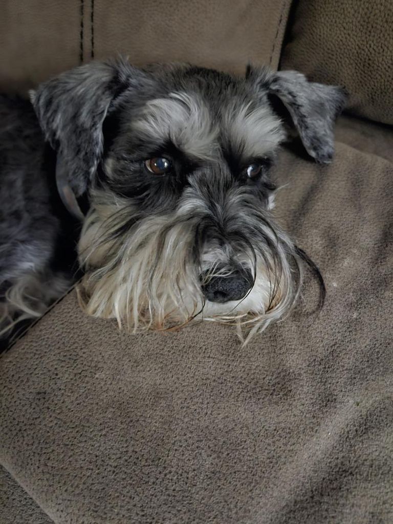 Thatcher Willis Profile Photo
