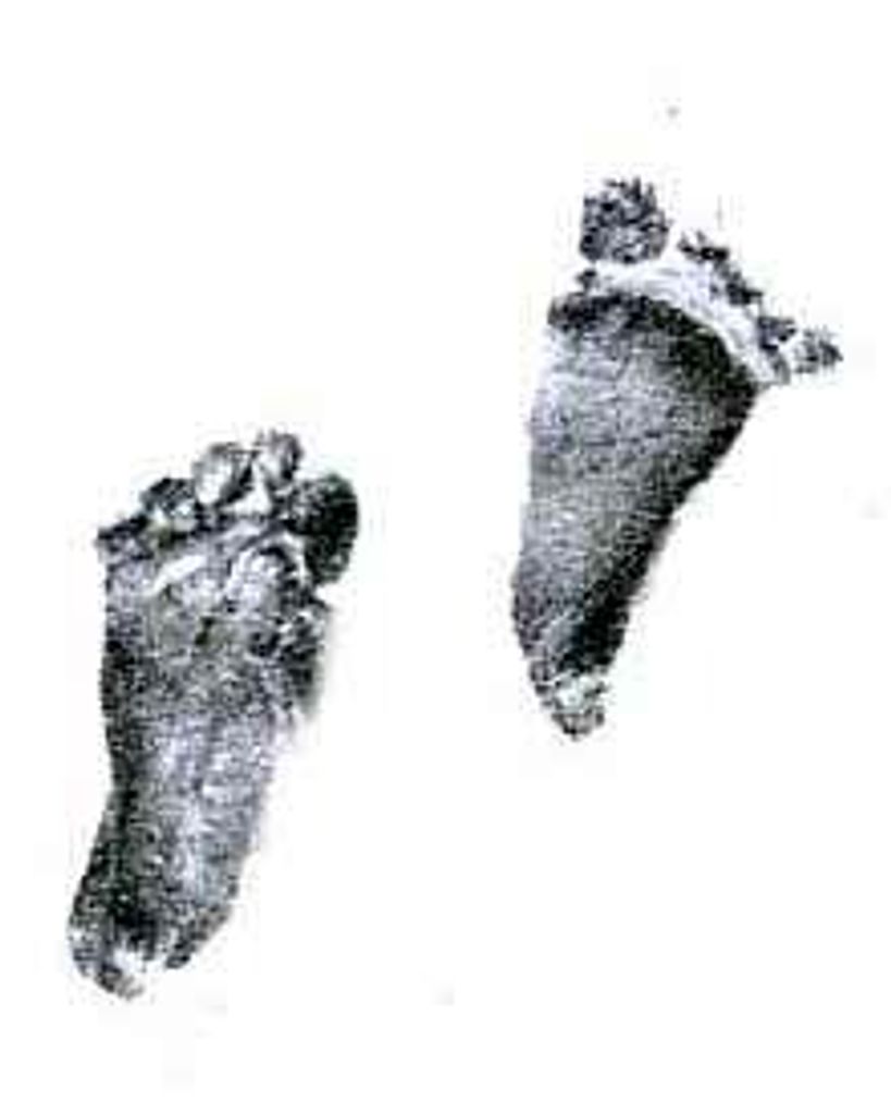 Jack Francis Gida Profile Photo