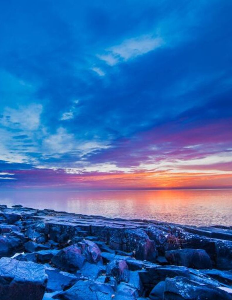 Judith "Judi" Mae Rautio