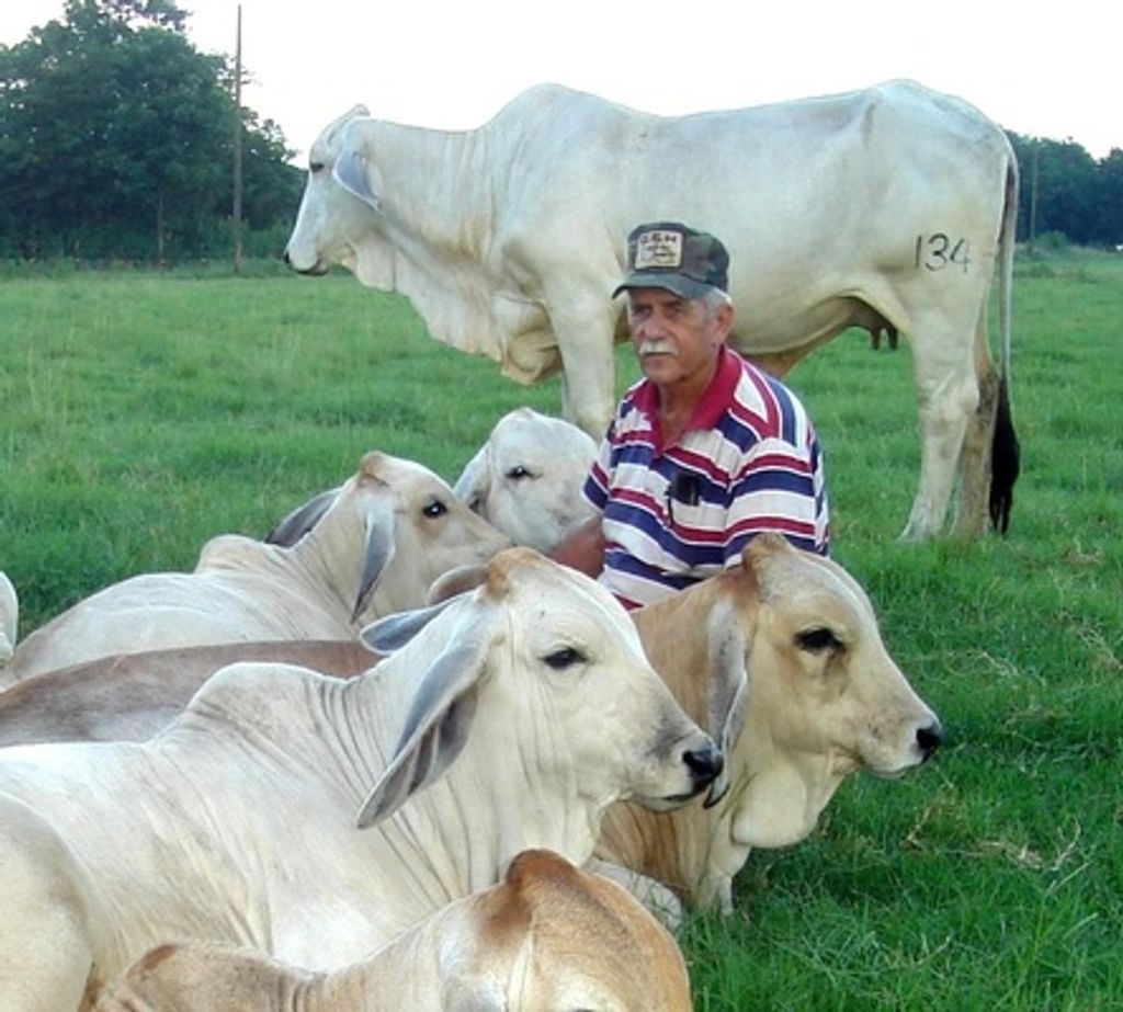 Ronnie K. Matte Profile Photo