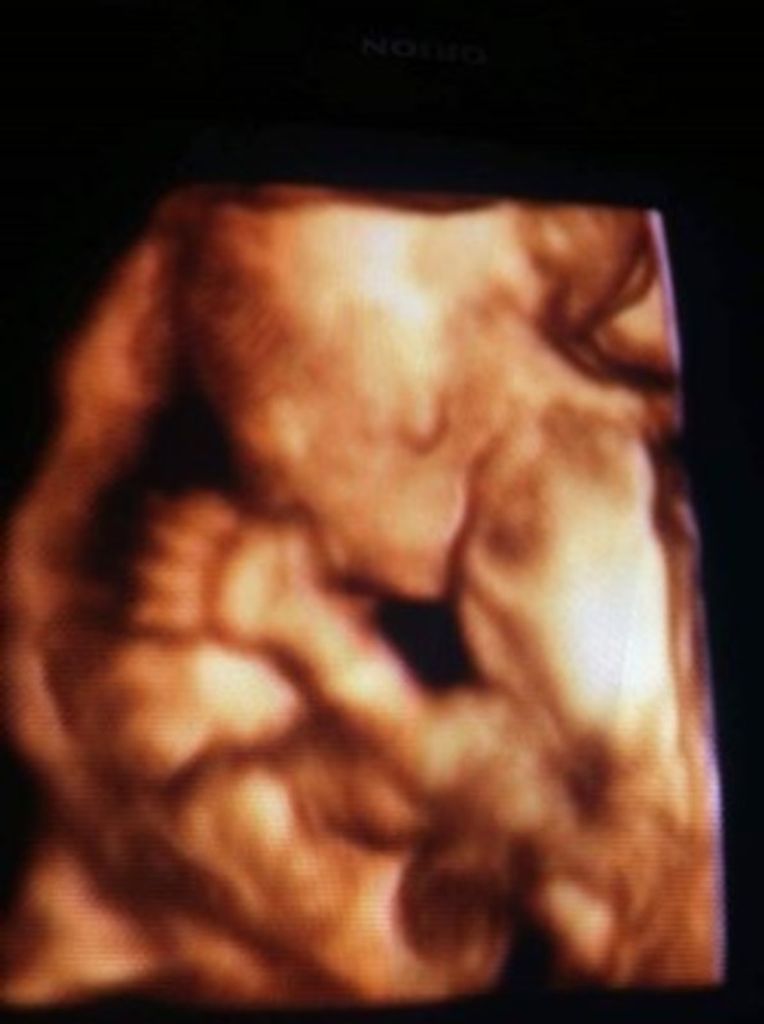 Payton Nicole Ryan-Hampton