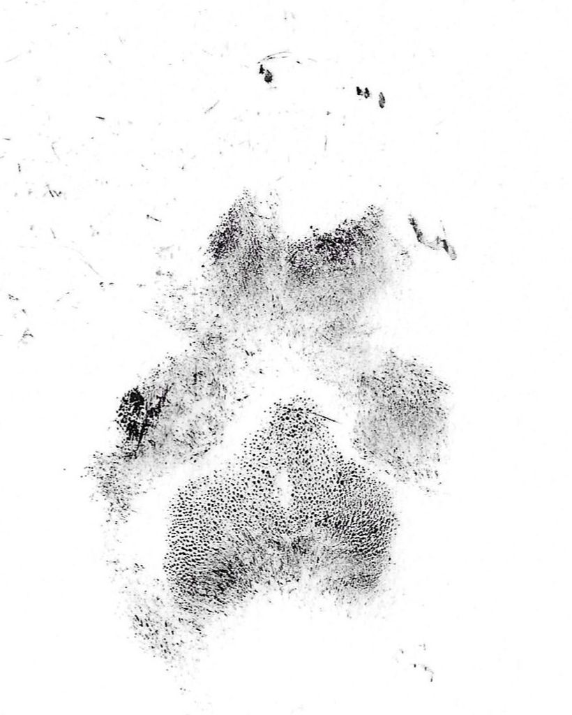 Buster Robbins Profile Photo