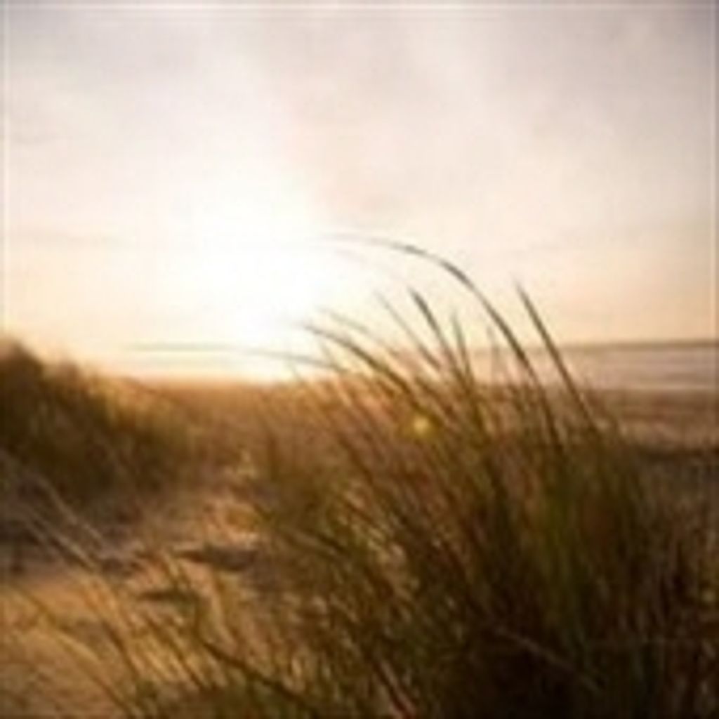 William Brazzel Ryle